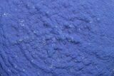 Large, Vibrant Blue Azurite Sun - Australia #188466-1